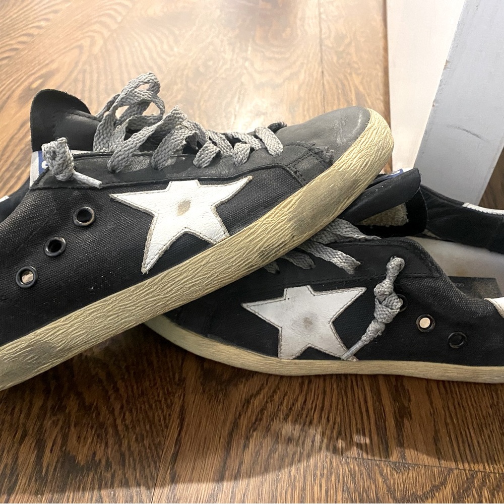 Black and white golden goose